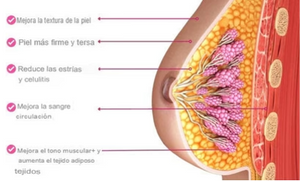 SERUM REAFIRMANTE DE BUSTO